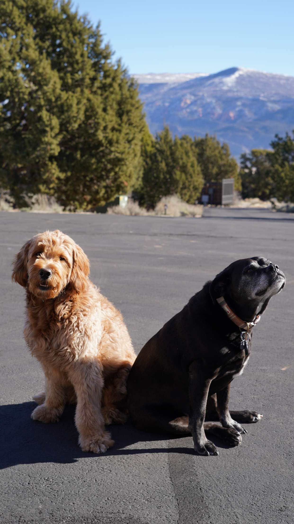 itsnellxoxo snapchat image archive image