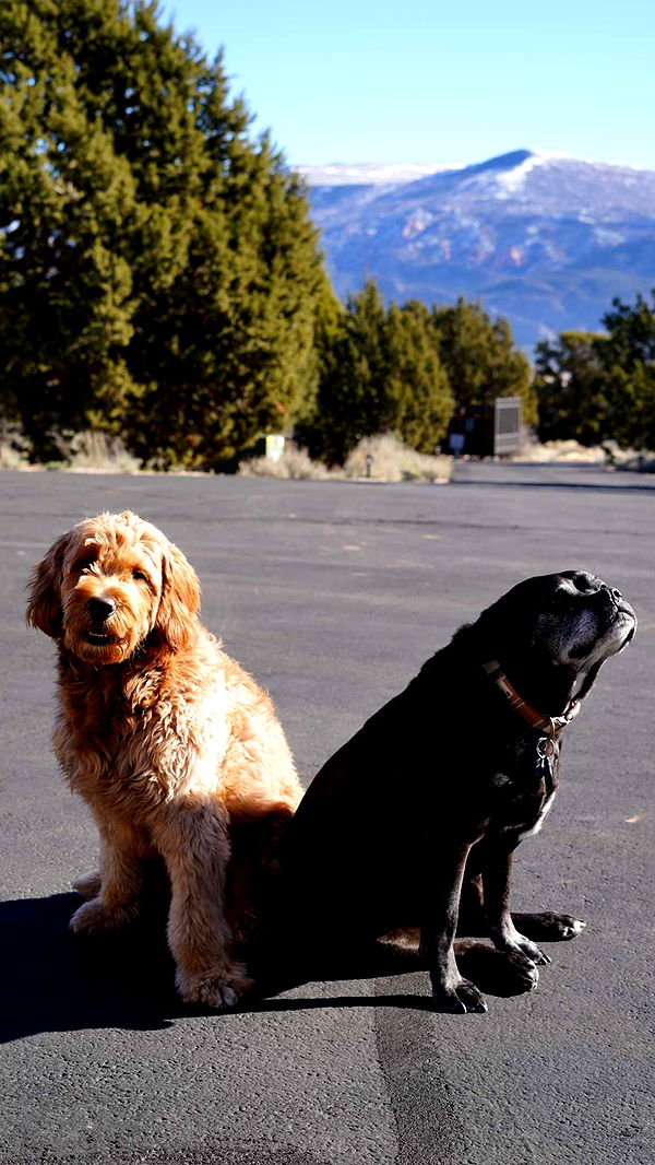 itsnellxoxo image ~ Altpins