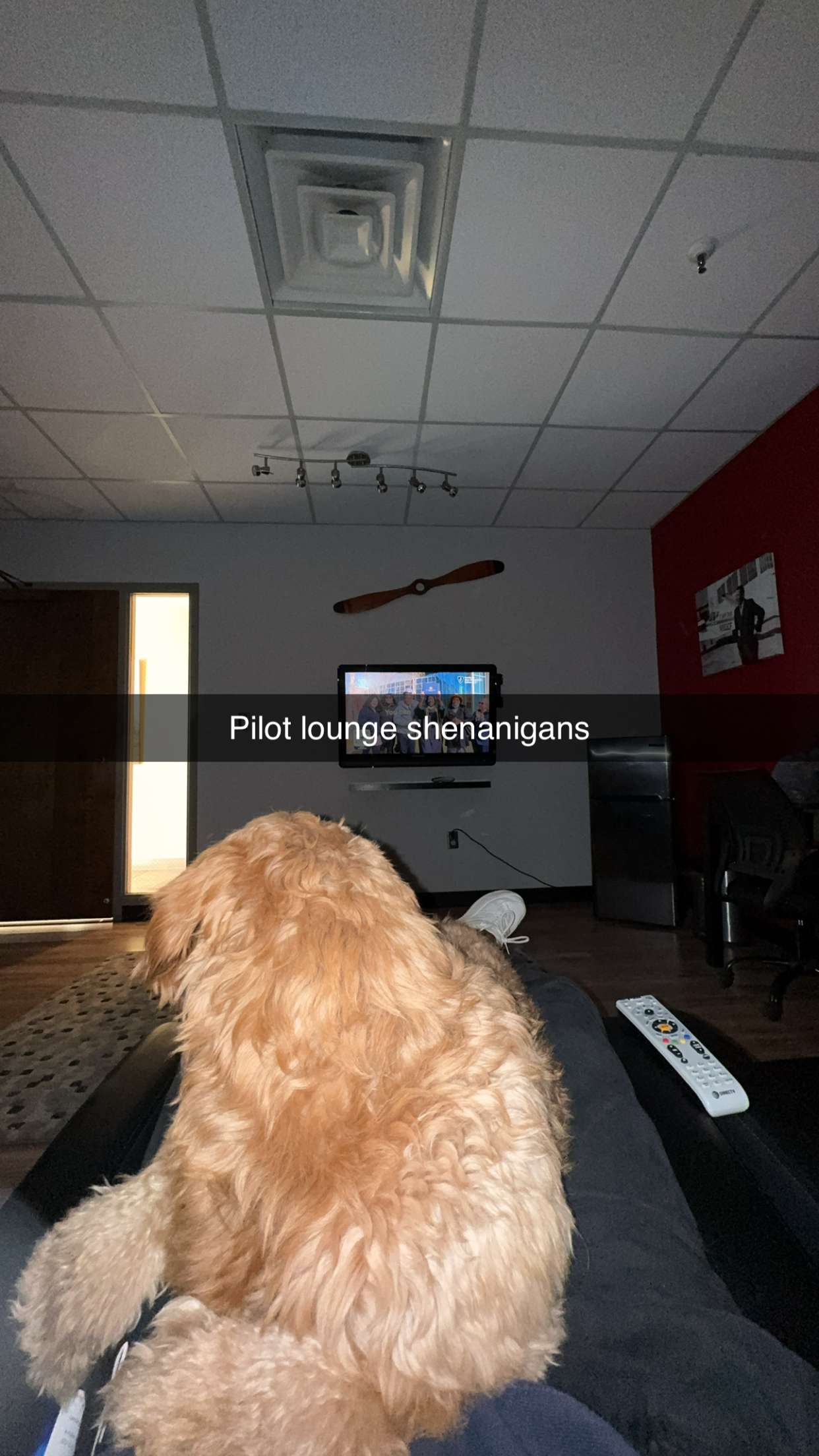 itsnellxoxo snapchat image archive image