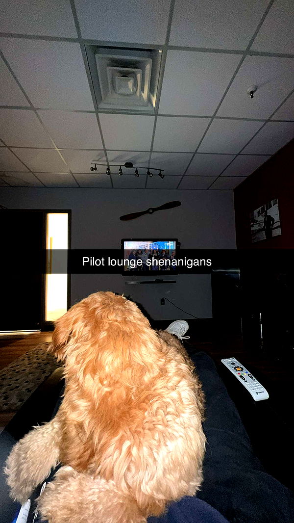 itsnellxoxo image ~ Altpins