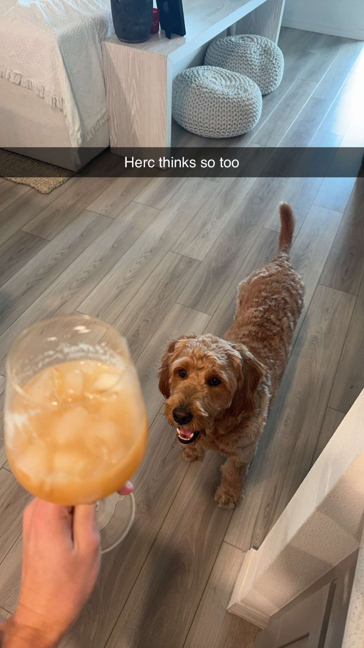 itsnellxoxo snapchat image archive image