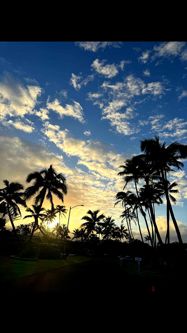 itsnellxoxo image ~ Altpins