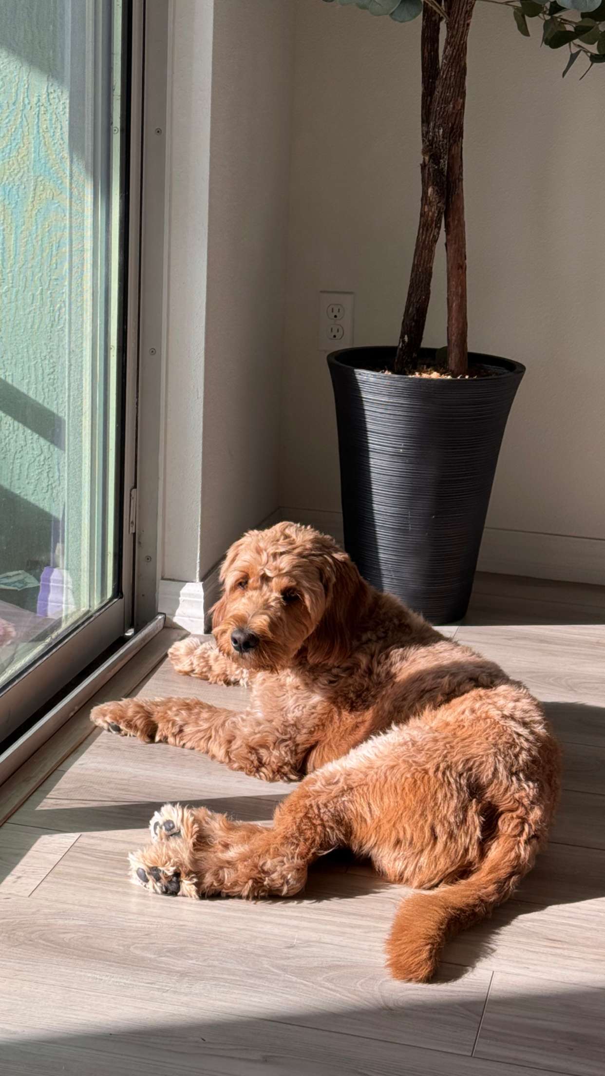 itsnellxoxo snapchat image archive image