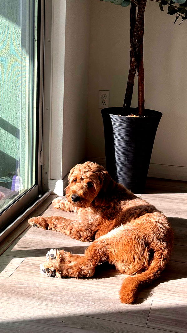 itsnellxoxo image ~ Altpins