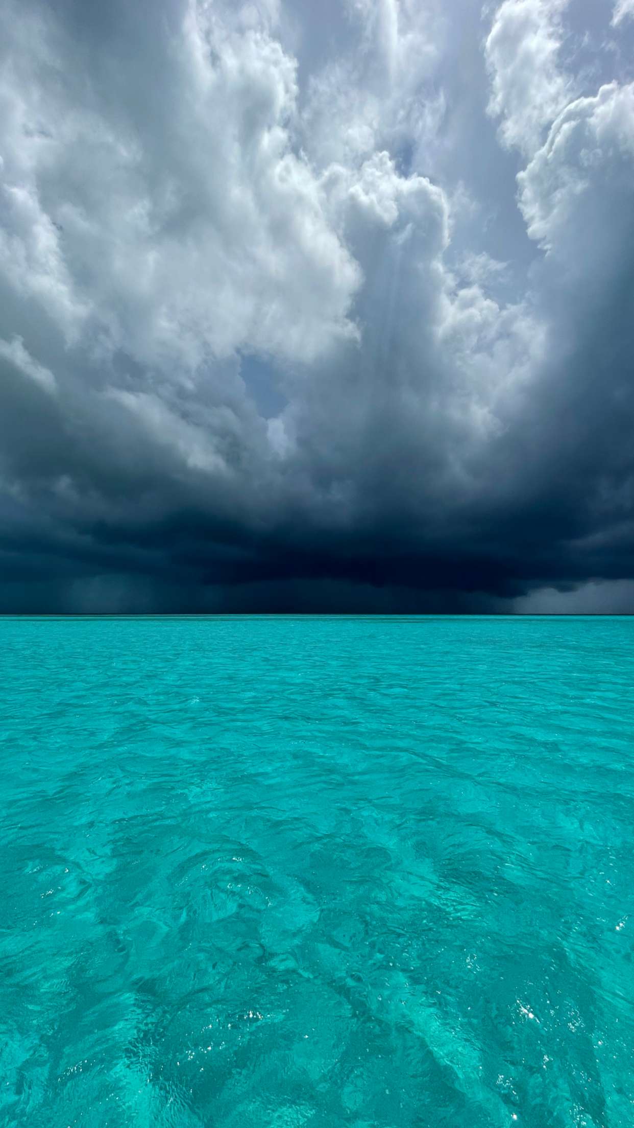 itsnellxoxo snapchat image archive image