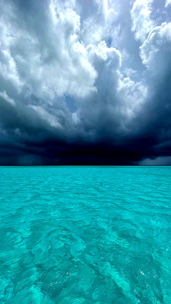 itsnellxoxo image ~ Altpins