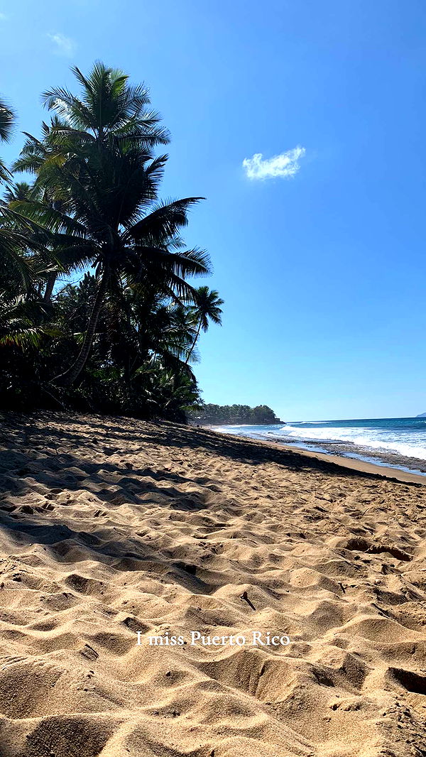 itsnellxoxo image ~ Altpins