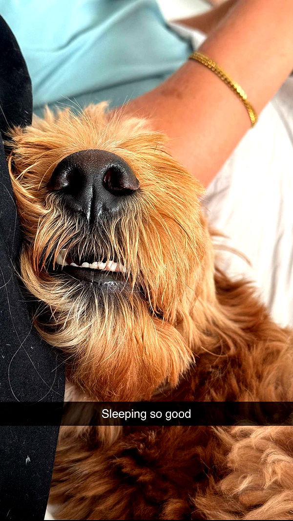 itsnellxoxo image ~ Altpins