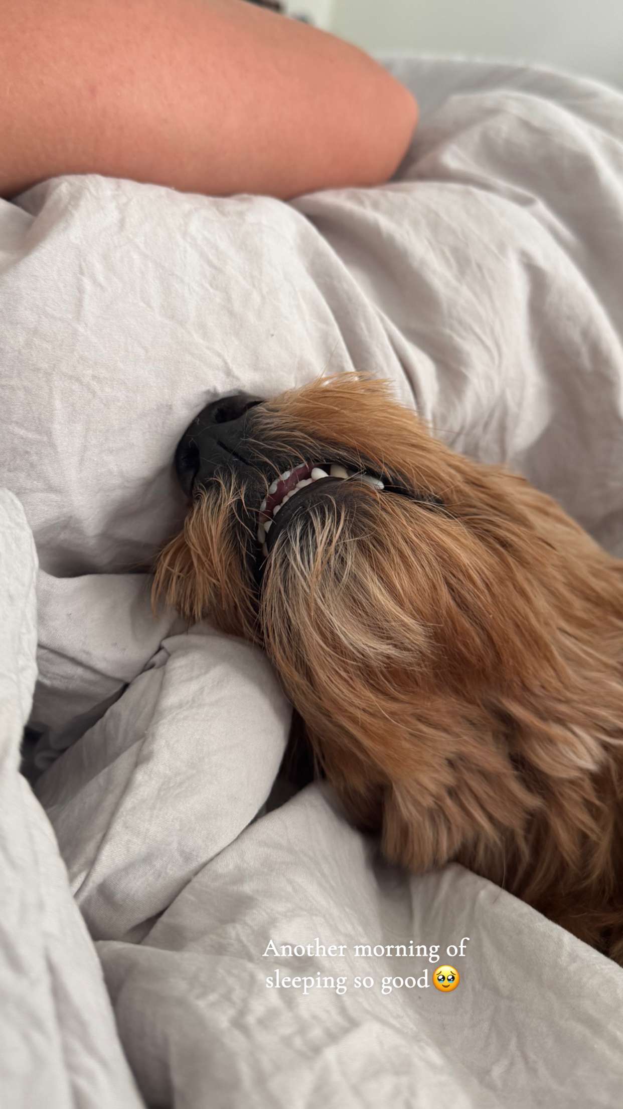 itsnellxoxo snapchat image archive image