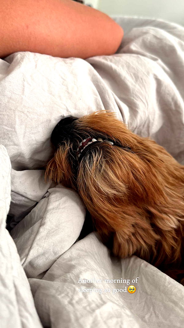 itsnellxoxo image ~ Altpins