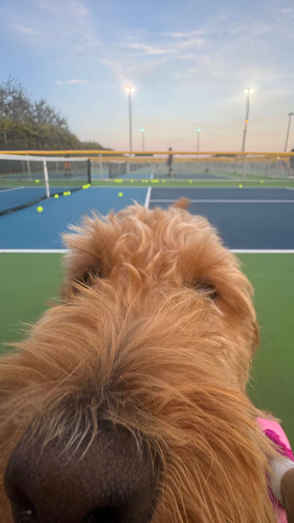 itsnellxoxo snapchat image archive image