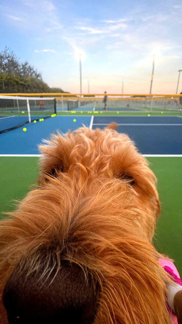 itsnellxoxo image ~ Altpins