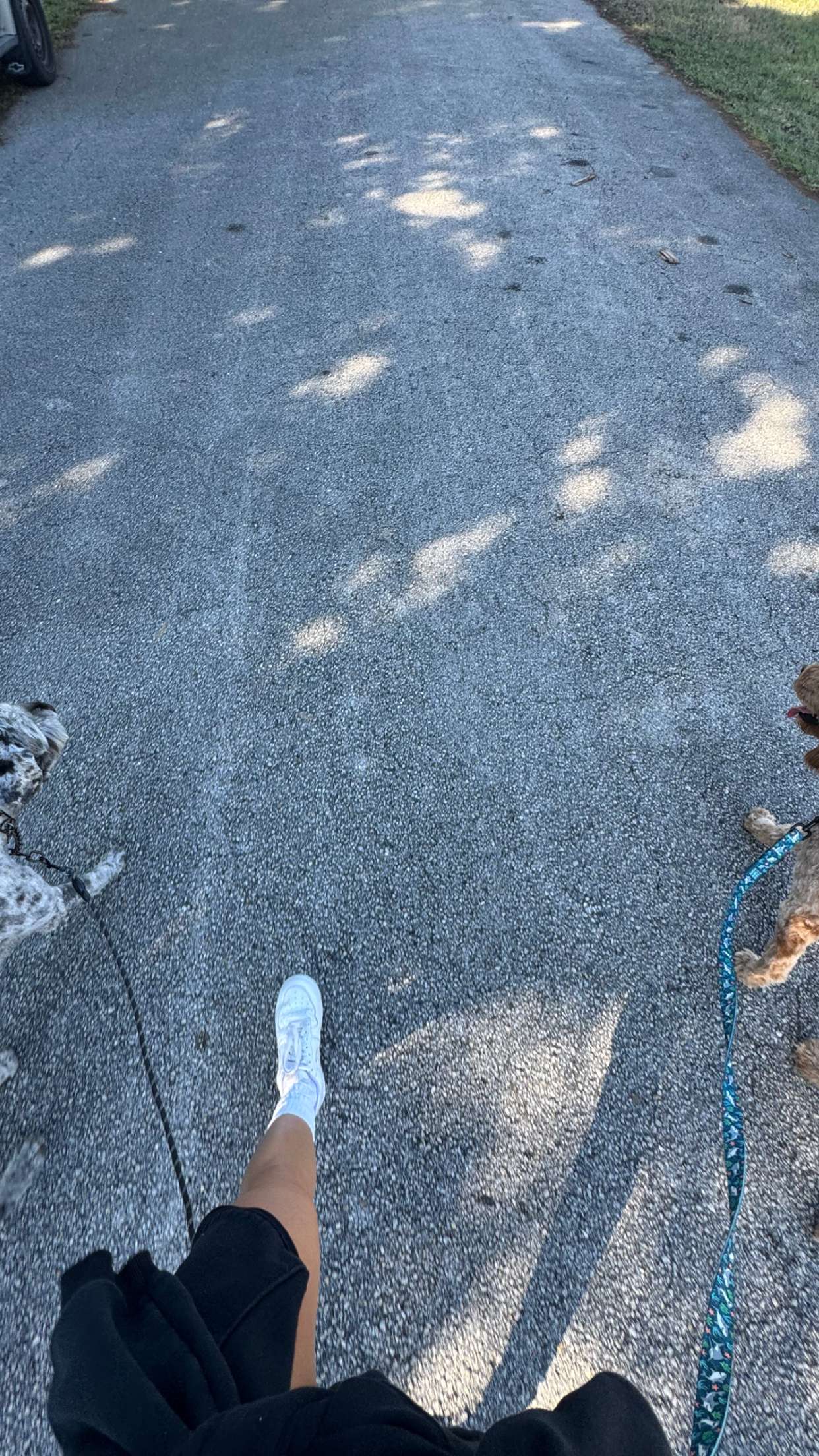 itsnellxoxo snapchat image archive image