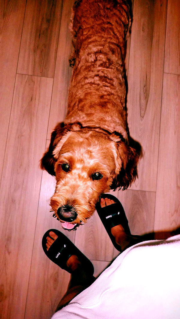 itsnellxoxo image ~ Altpins