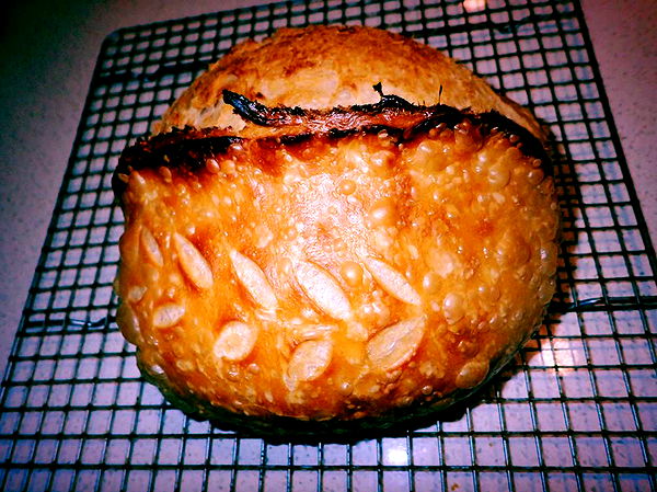 itsnellxoxo image ~ Altpins