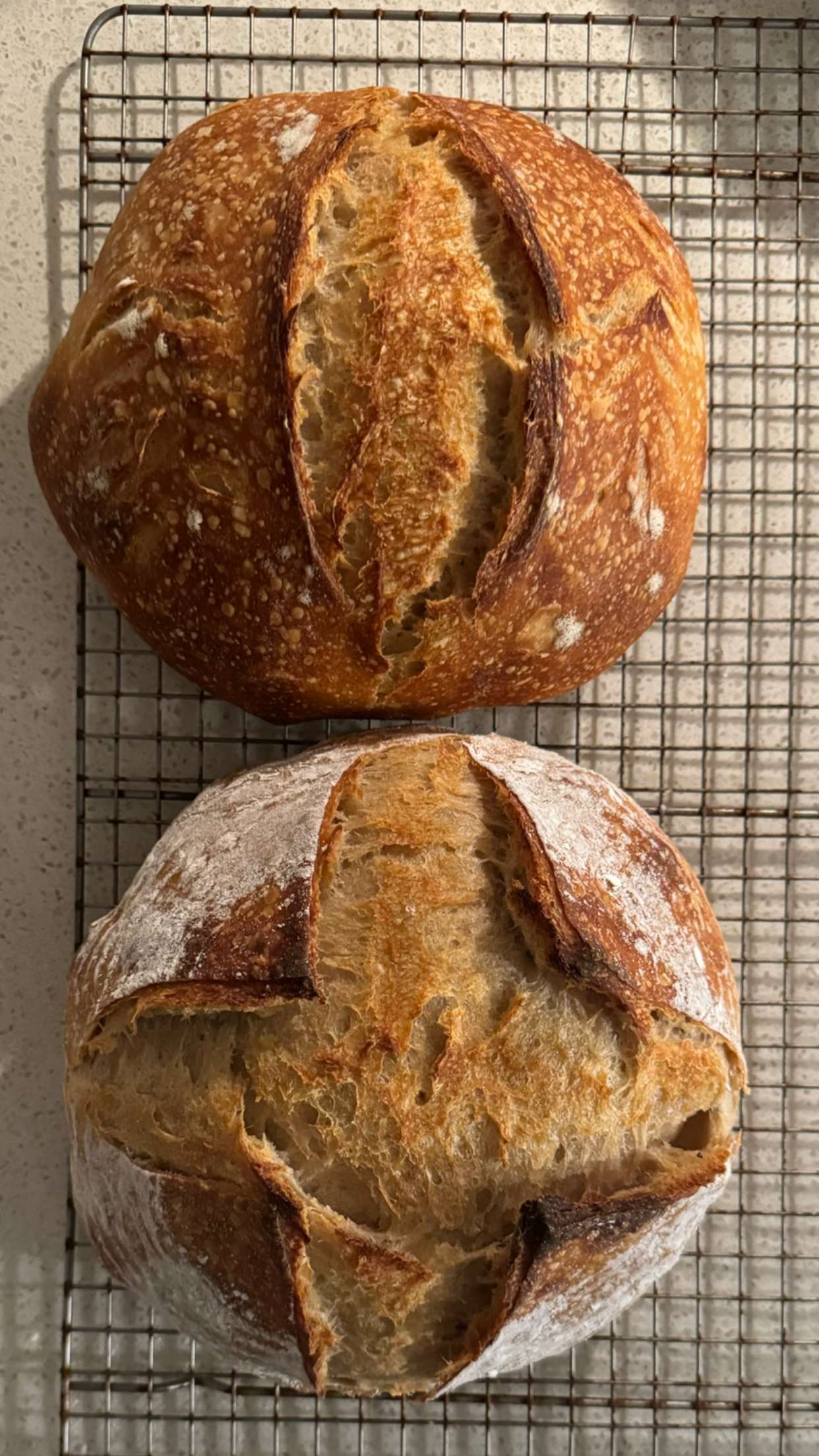 itsnellxoxo snapchat image archive image