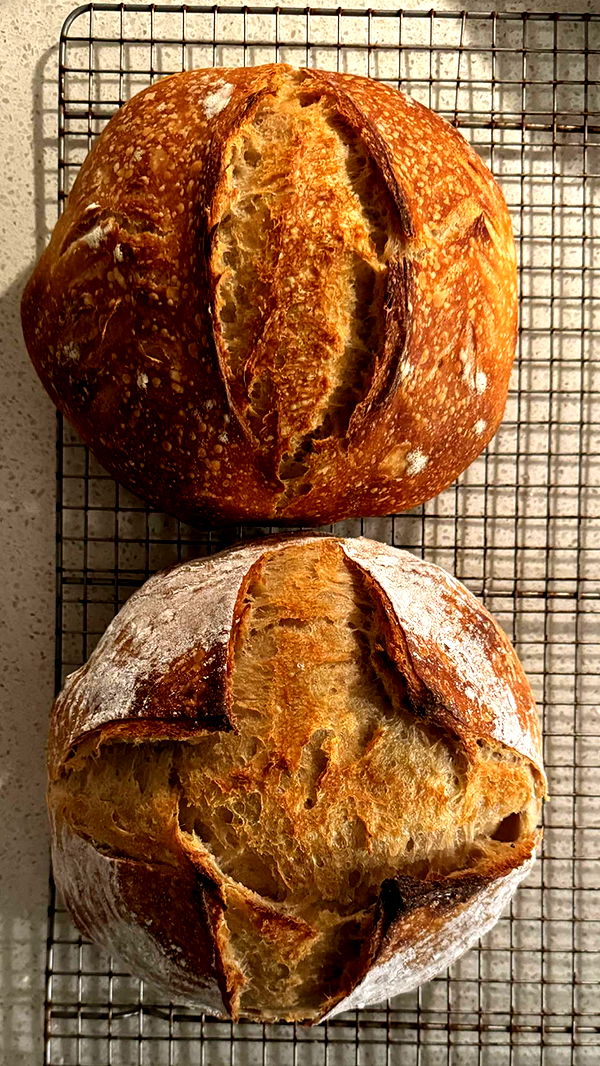 itsnellxoxo image ~ Altpins