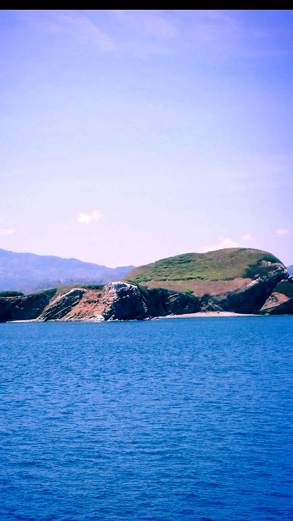 itsnellxoxo image ~ Altpins