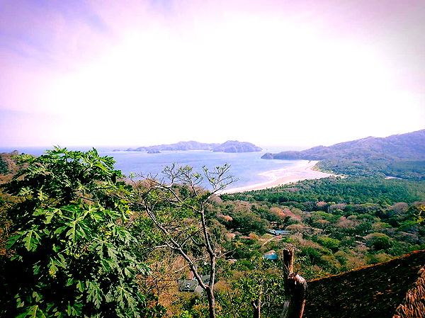 itsnellxoxo image ~ Altpins