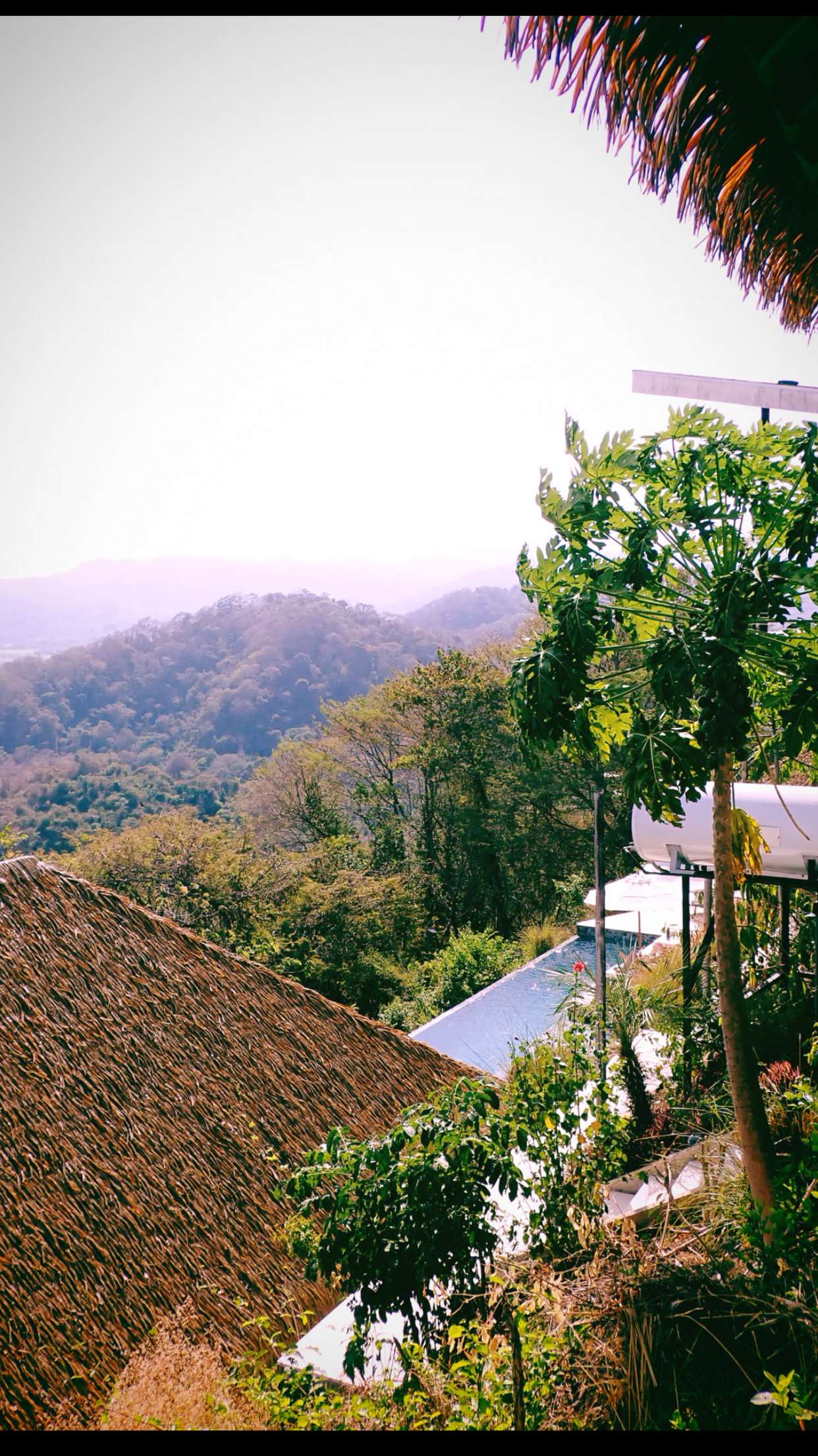 itsnellxoxo snapchat image archive image