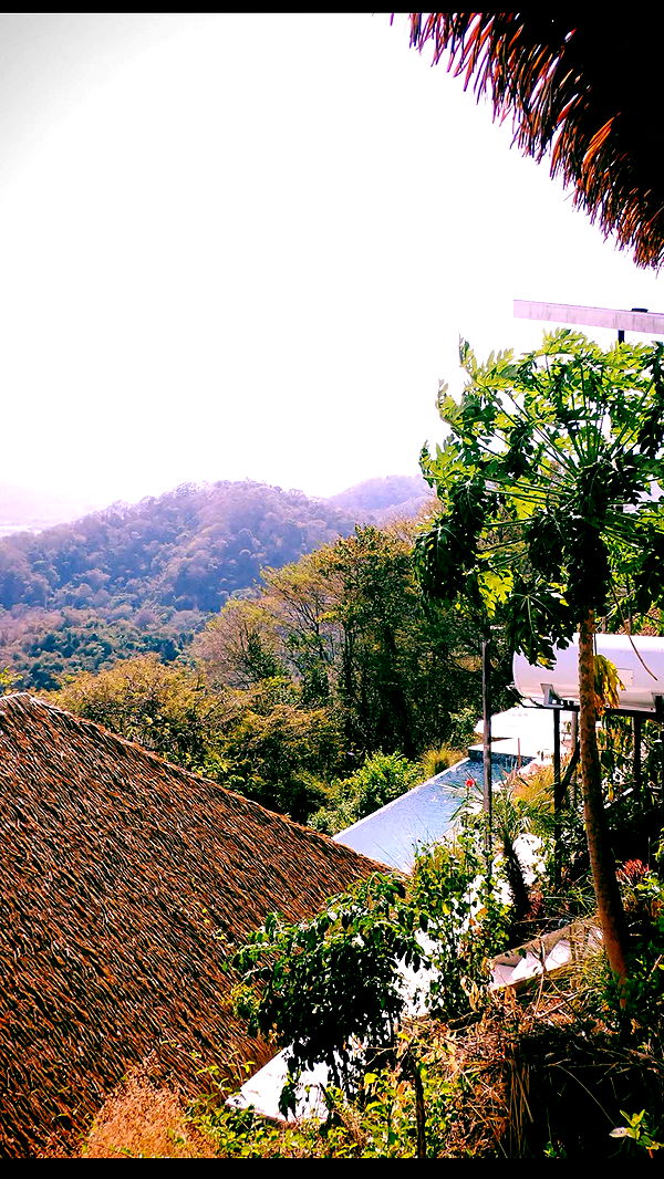 itsnellxoxo image ~ Altpins