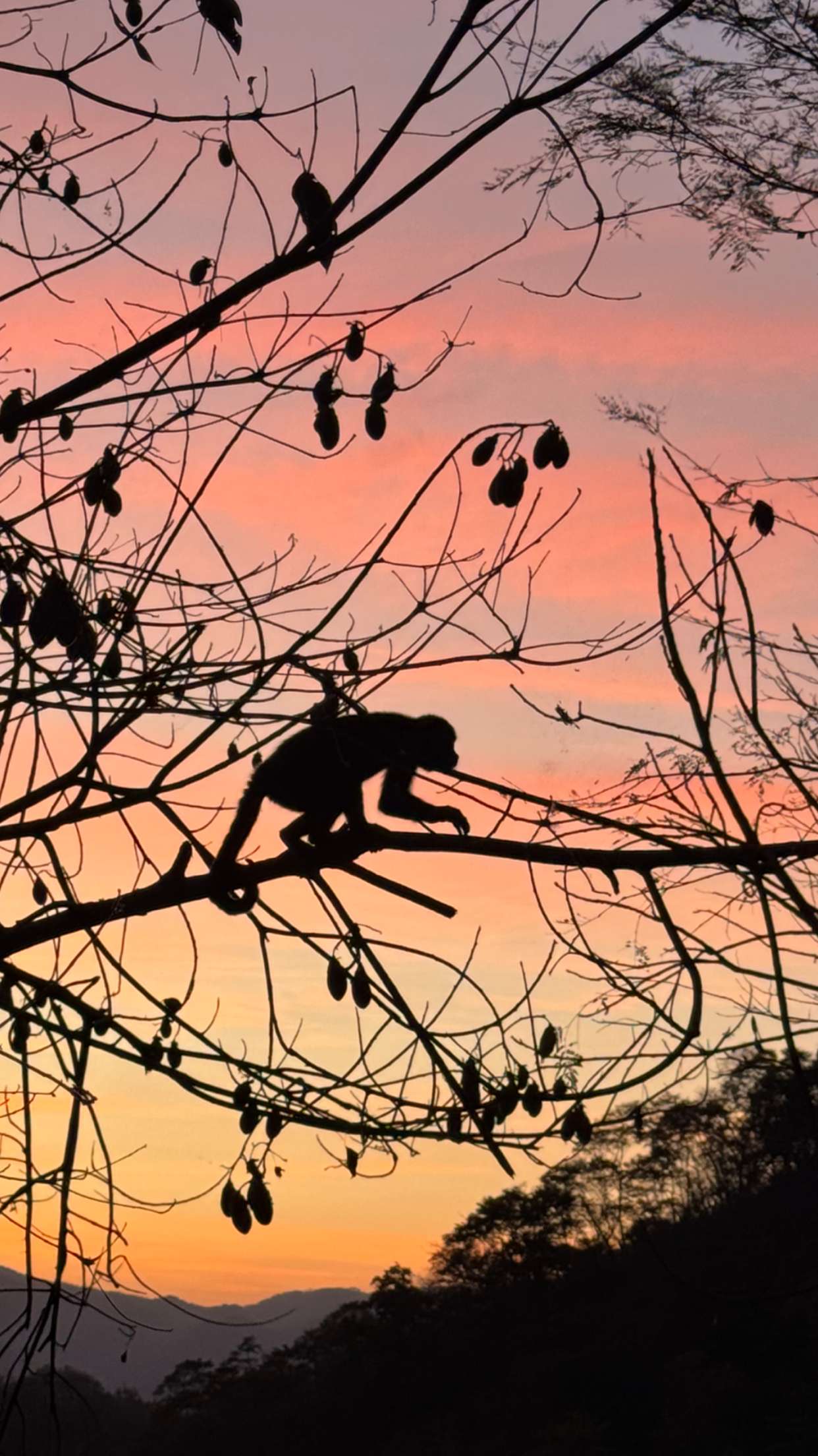 itsnellxoxo snapchat image archive image