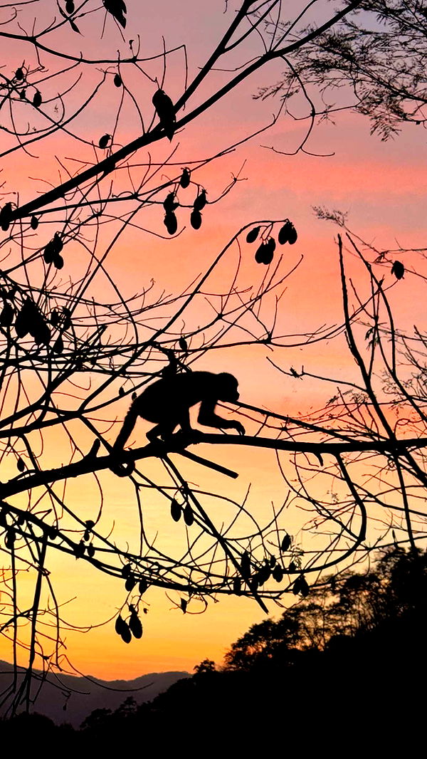 itsnellxoxo image ~ Altpins