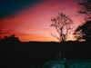 itsnellxoxo Altpins Profile Picture