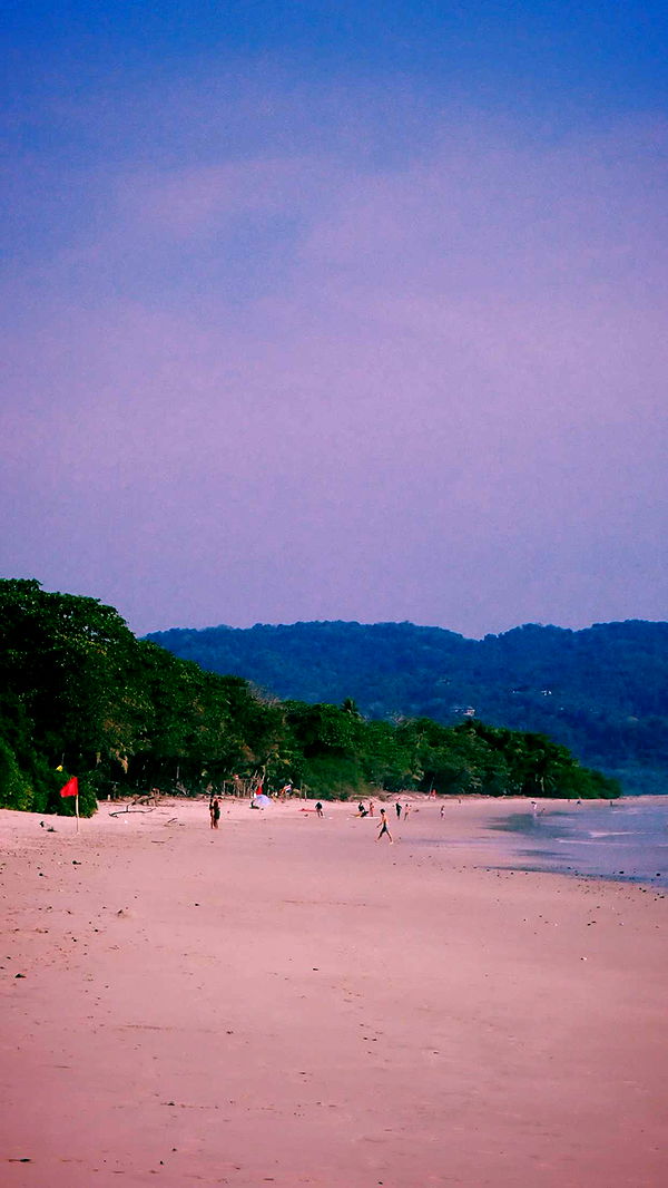 itsnellxoxo image ~ Altpins