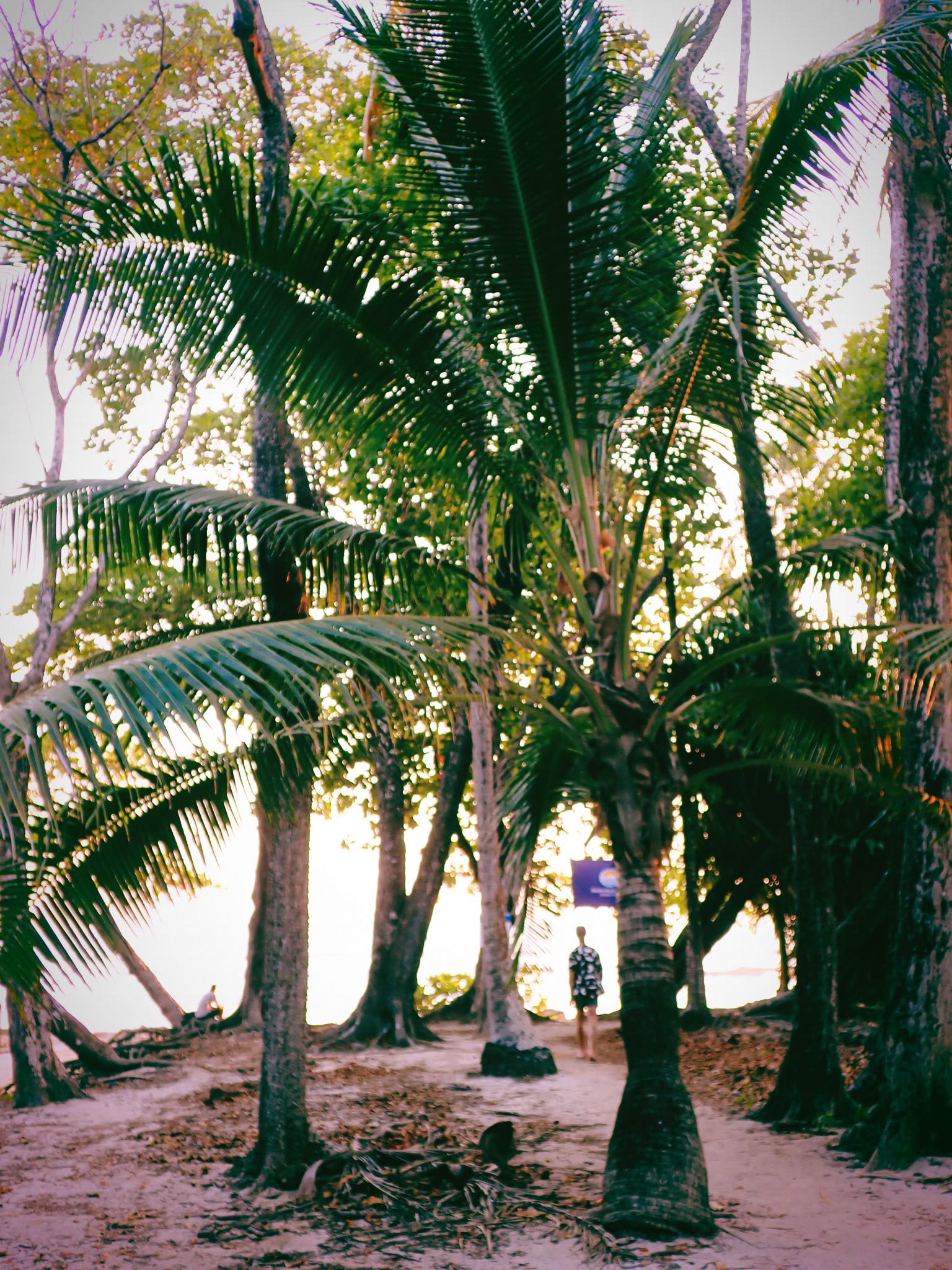 itsnellxoxo snapchat image archive image