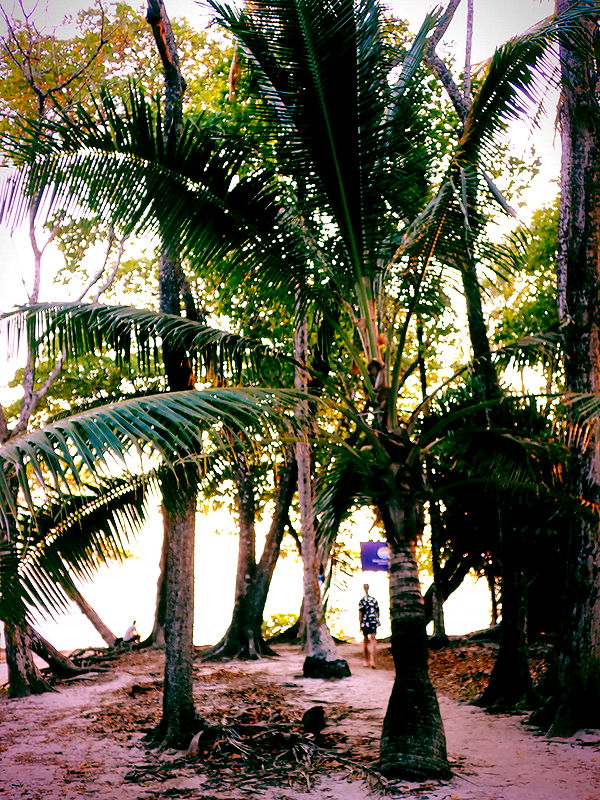 itsnellxoxo image ~ Altpins