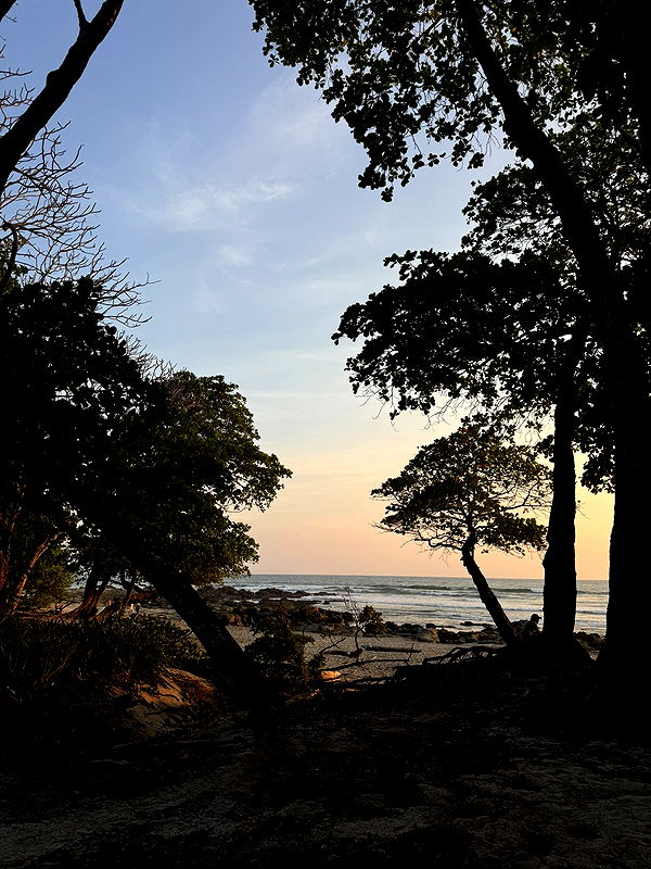 itsnellxoxo image ~ Altpins