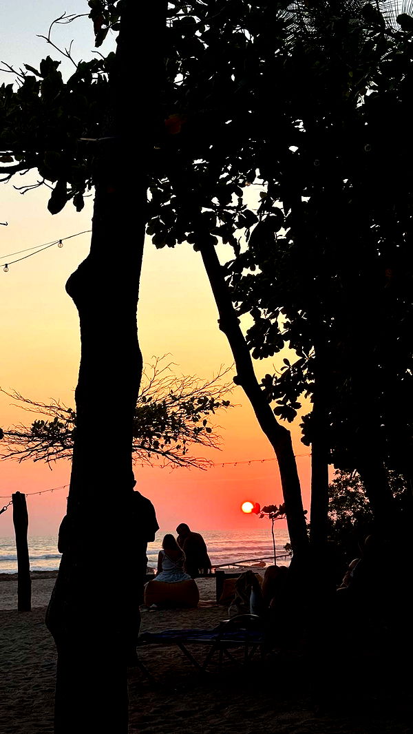 itsnellxoxo image ~ Altpins