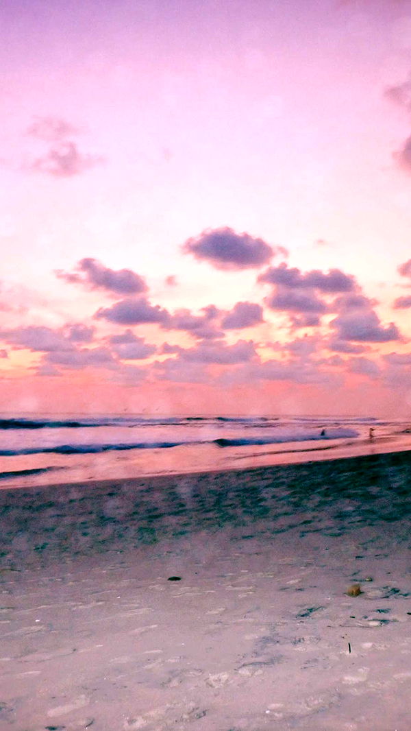 itsnellxoxo image ~ Altpins