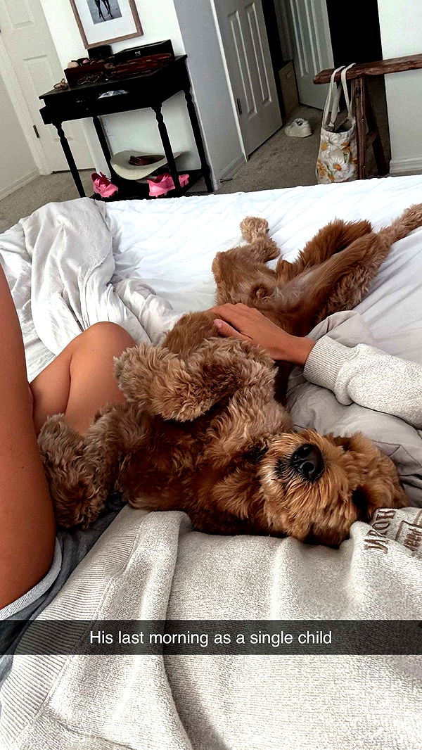 itsnellxoxo image ~ Altpins