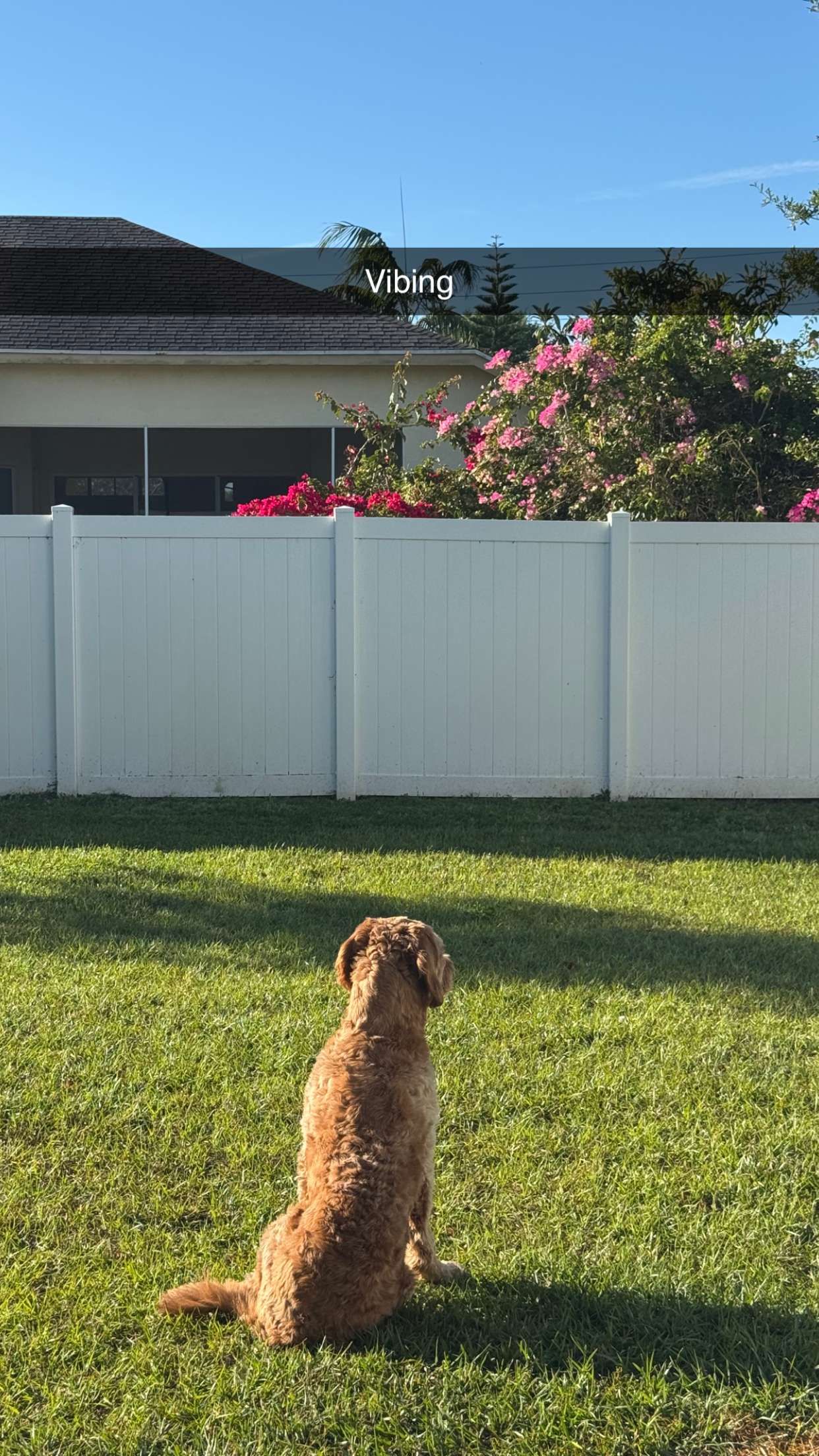 itsnellxoxo snapchat image archive image