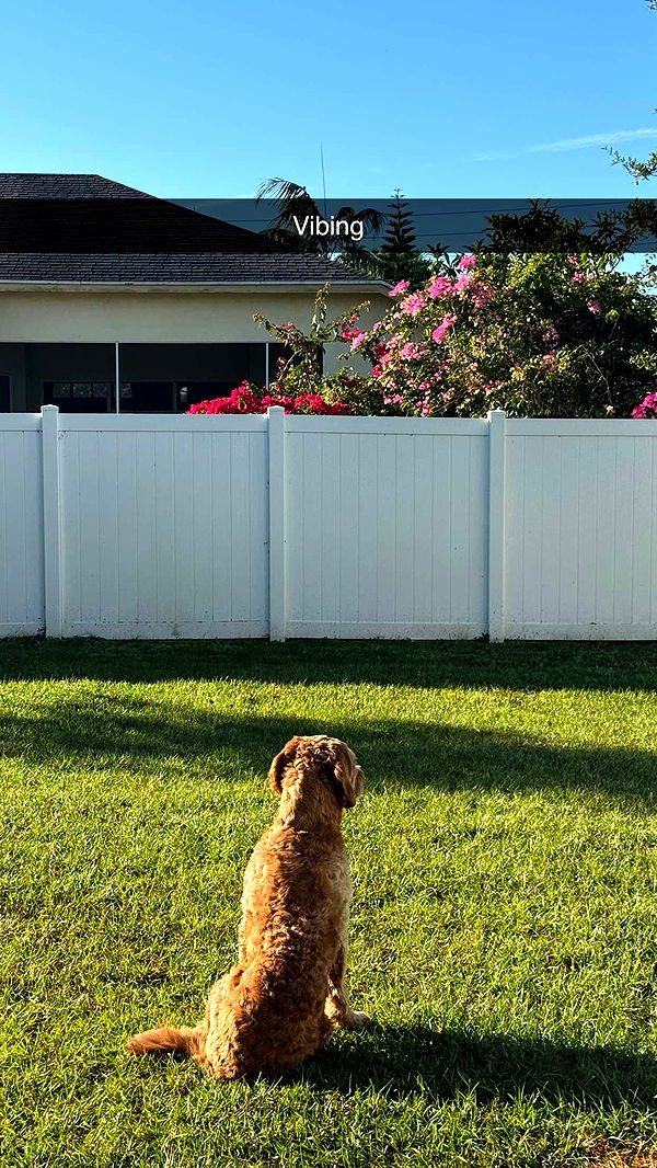 itsnellxoxo image ~ Altpins