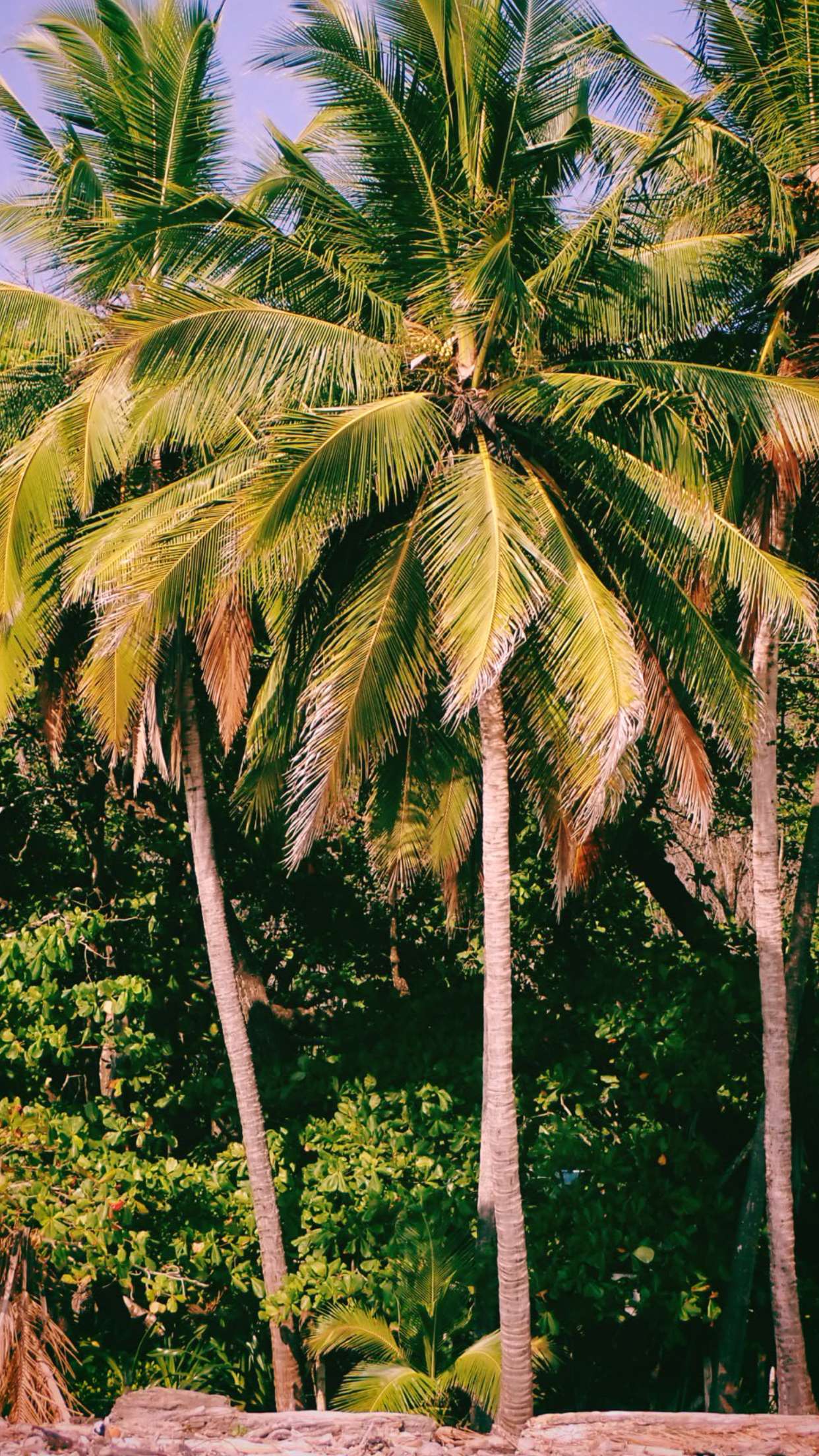 itsnellxoxo snapchat image archive image