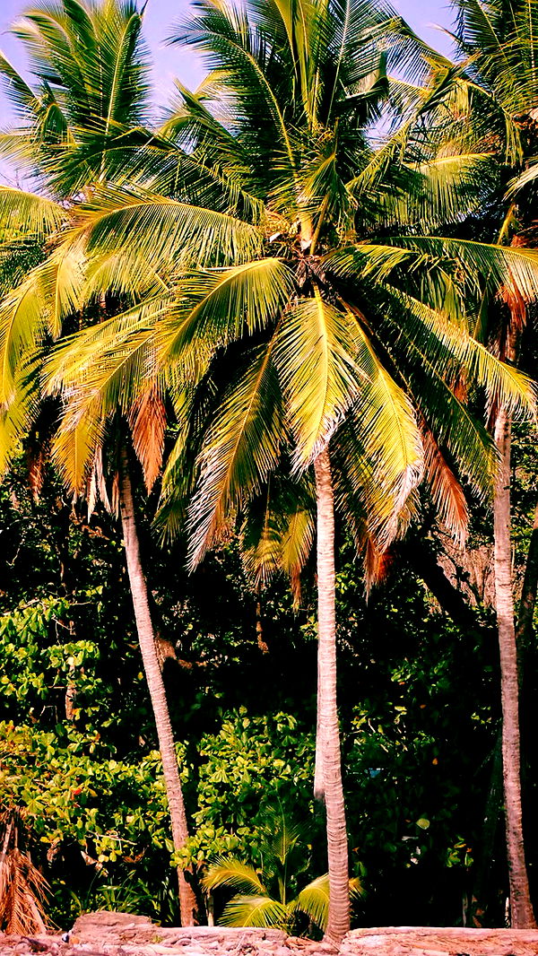 itsnellxoxo image ~ Altpins