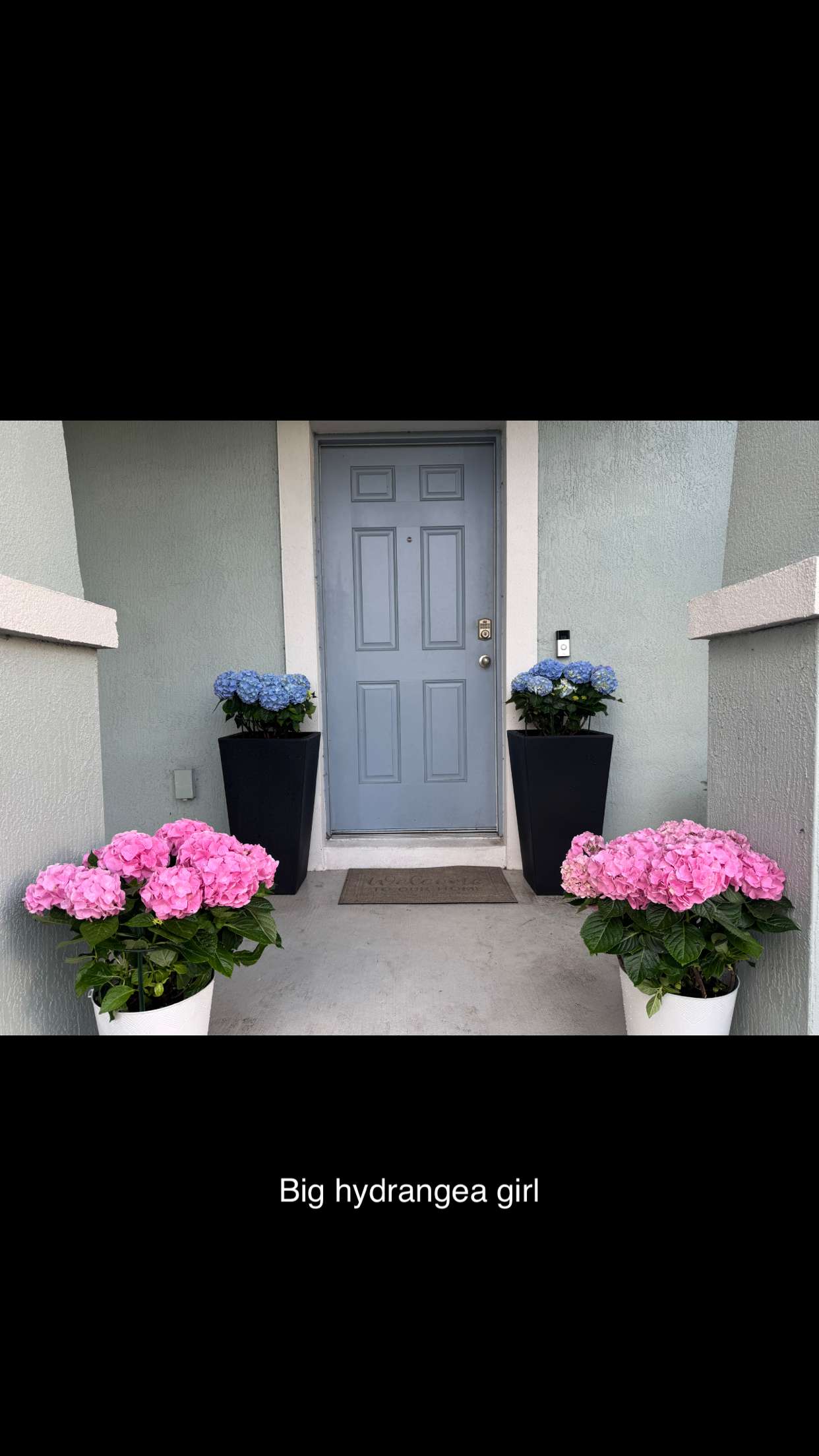 itsnellxoxo snapchat image archive image