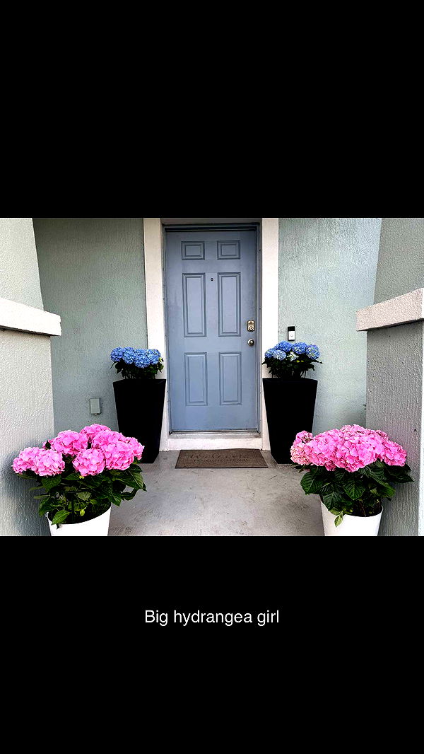 itsnellxoxo image ~ Altpins