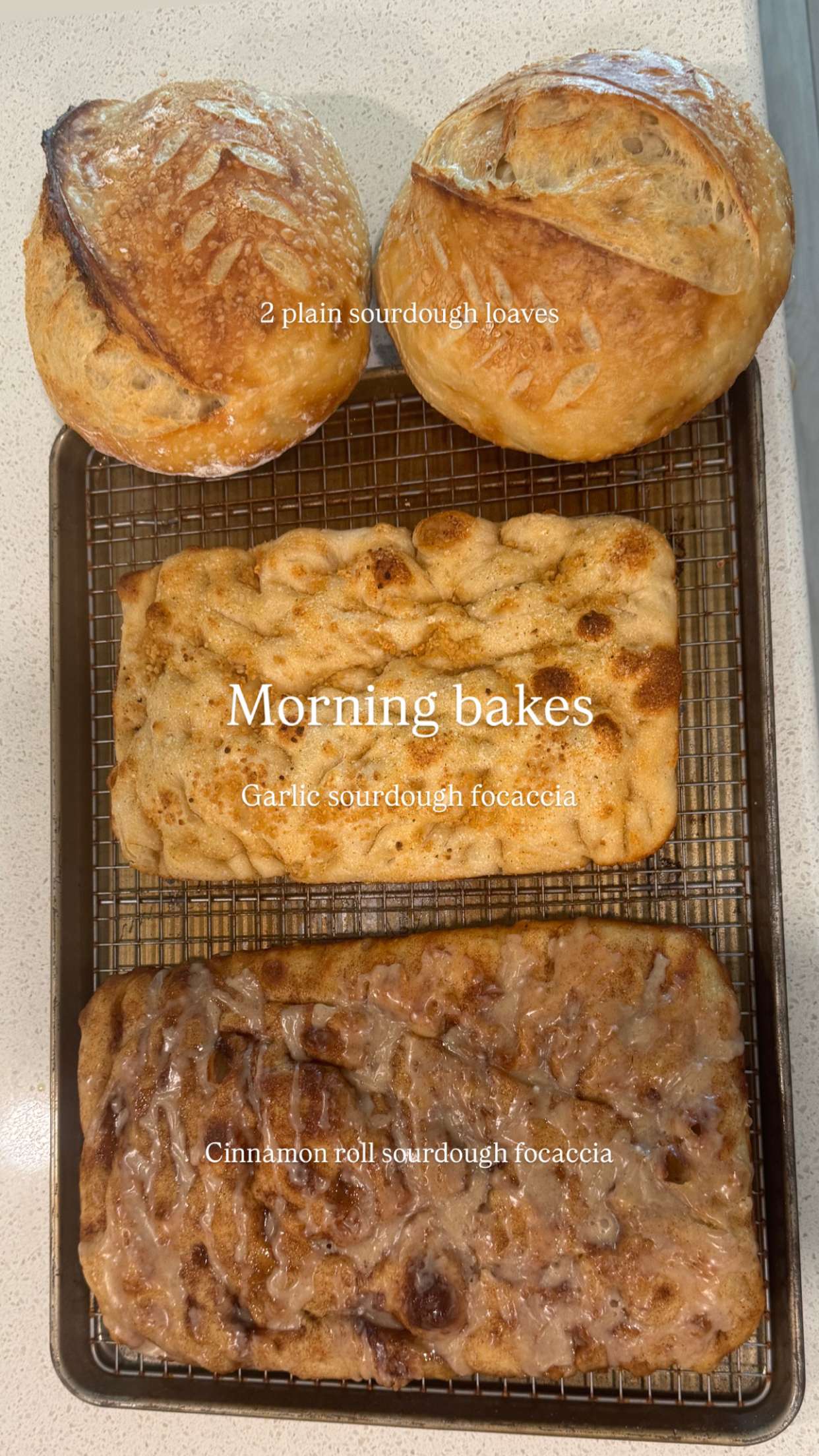 itsnellxoxo snapchat image archive image