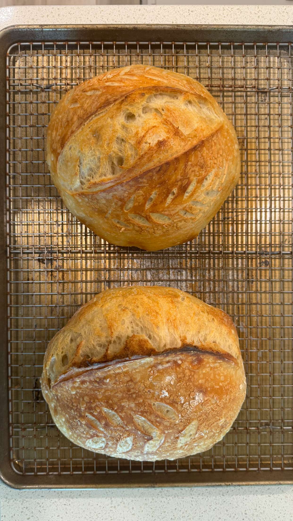 itsnellxoxo snapchat image archive image