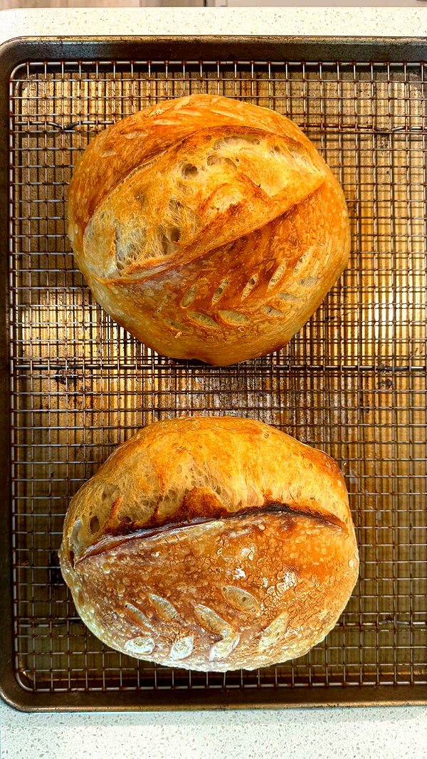 itsnellxoxo image ~ Altpins