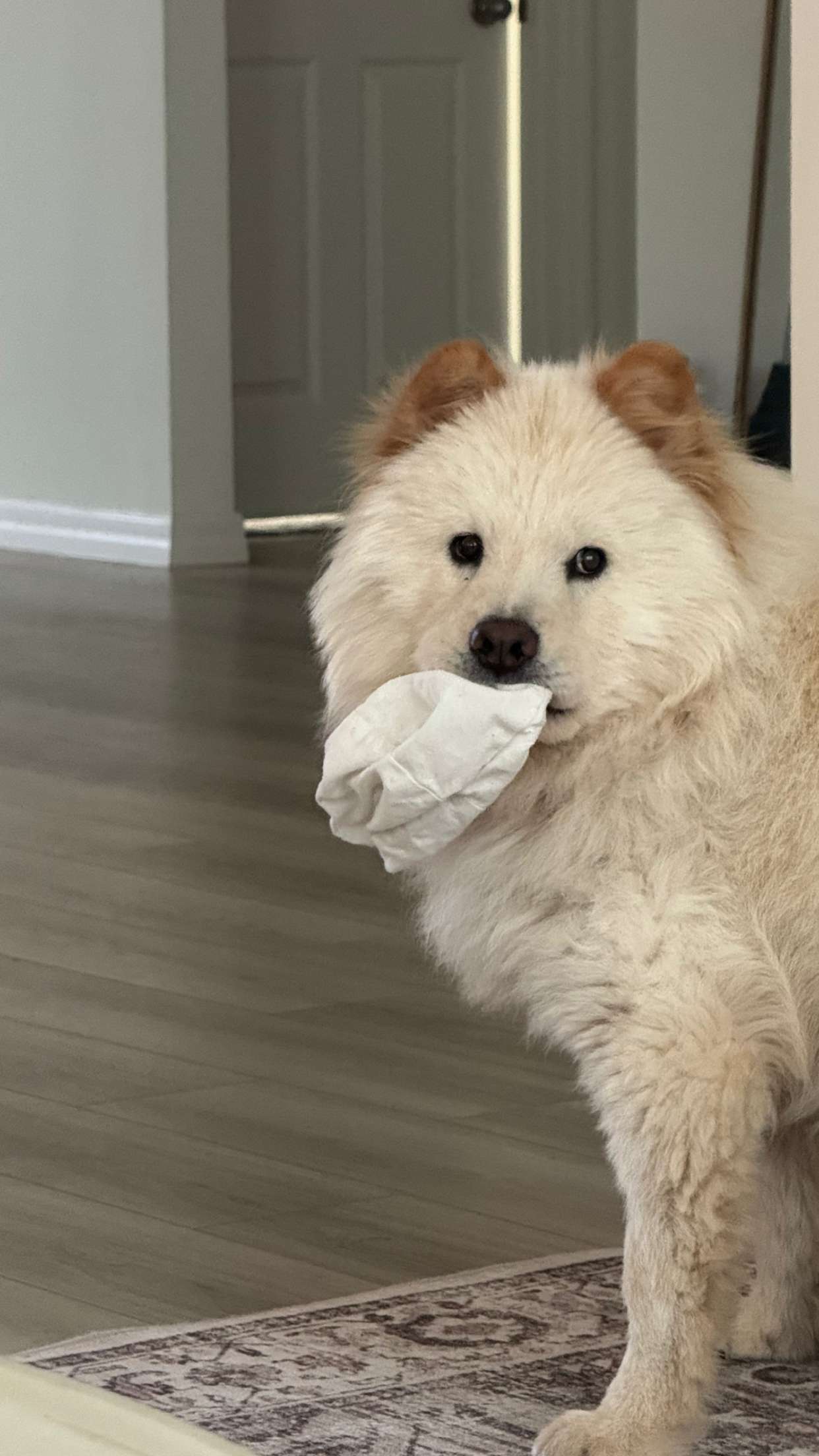 itsnellxoxo snapchat image archive image