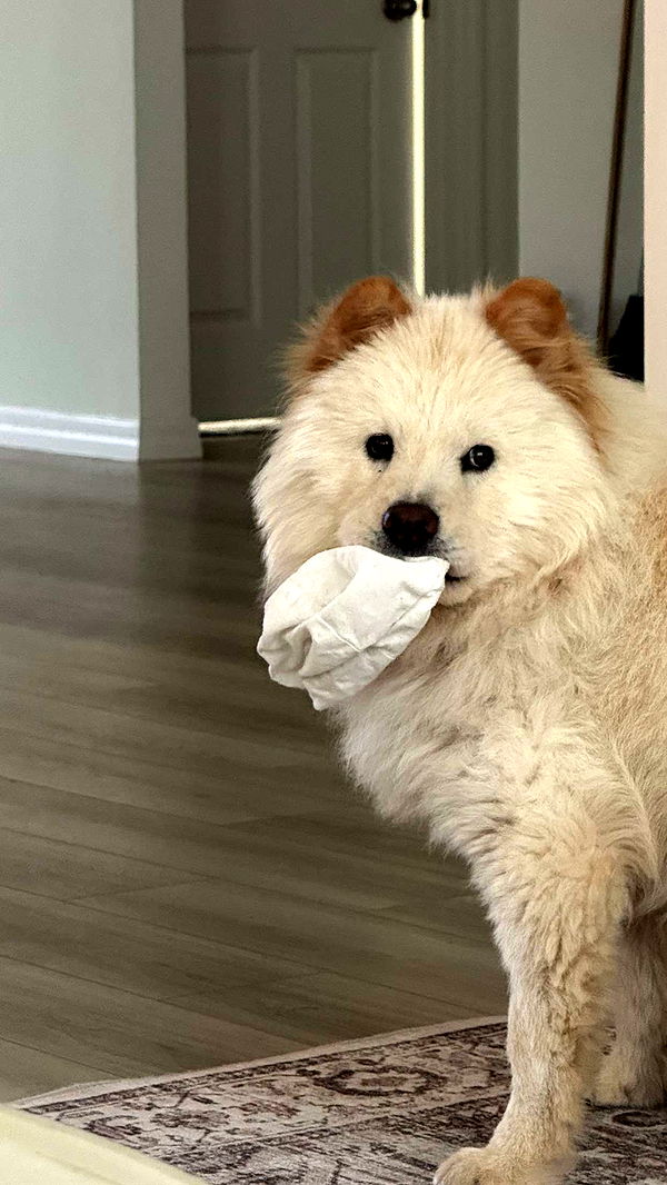 itsnellxoxo image ~ Altpins