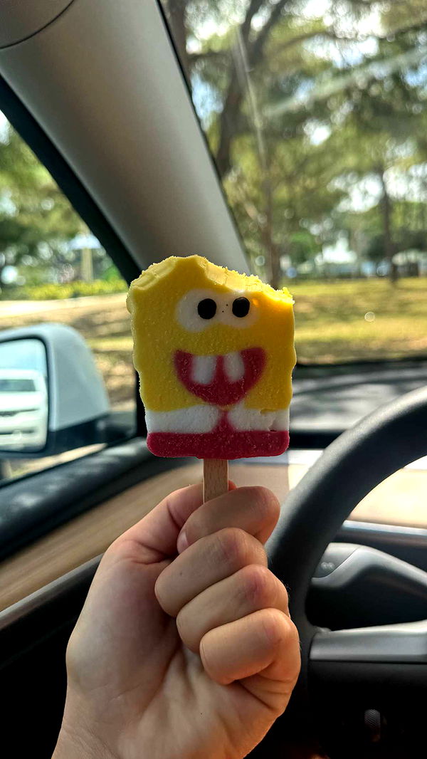 itsnellxoxo image ~ Altpins