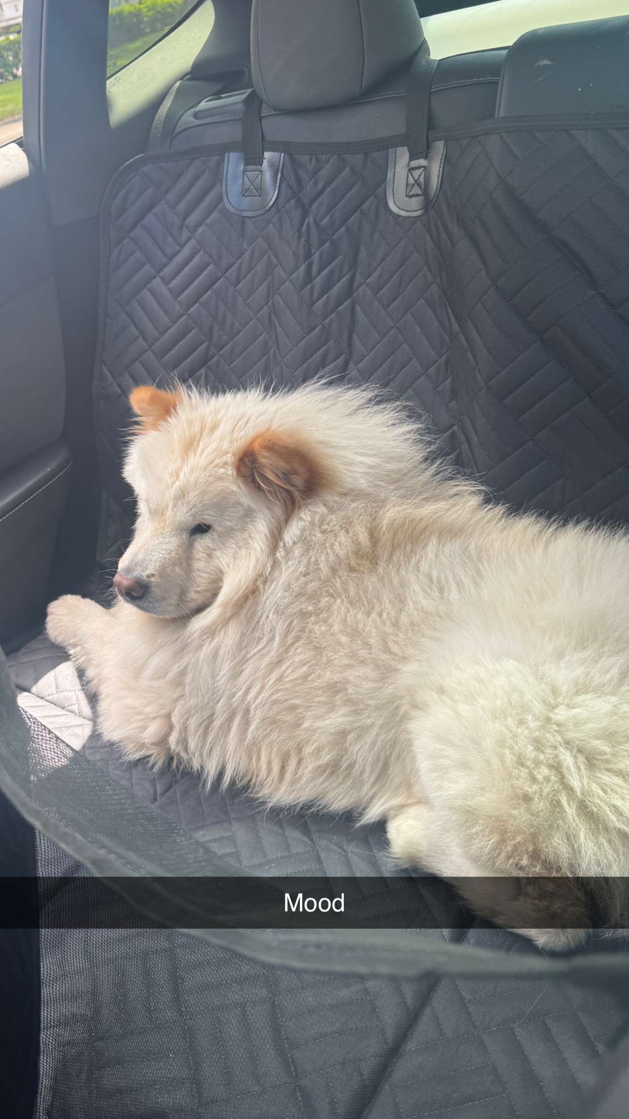 itsnellxoxo snapchat image archive image