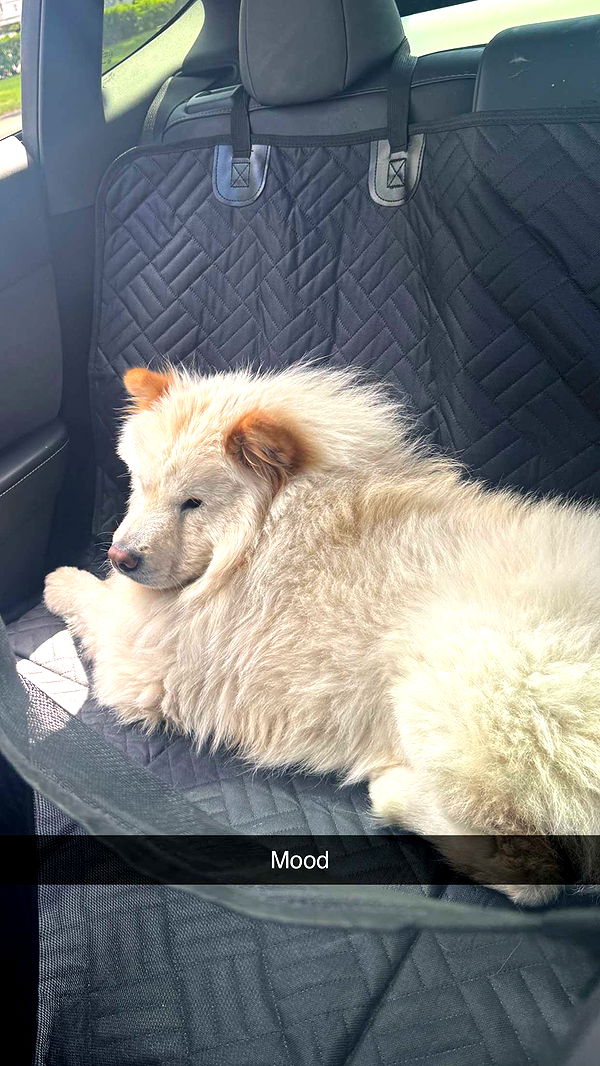 itsnellxoxo image ~ Altpins