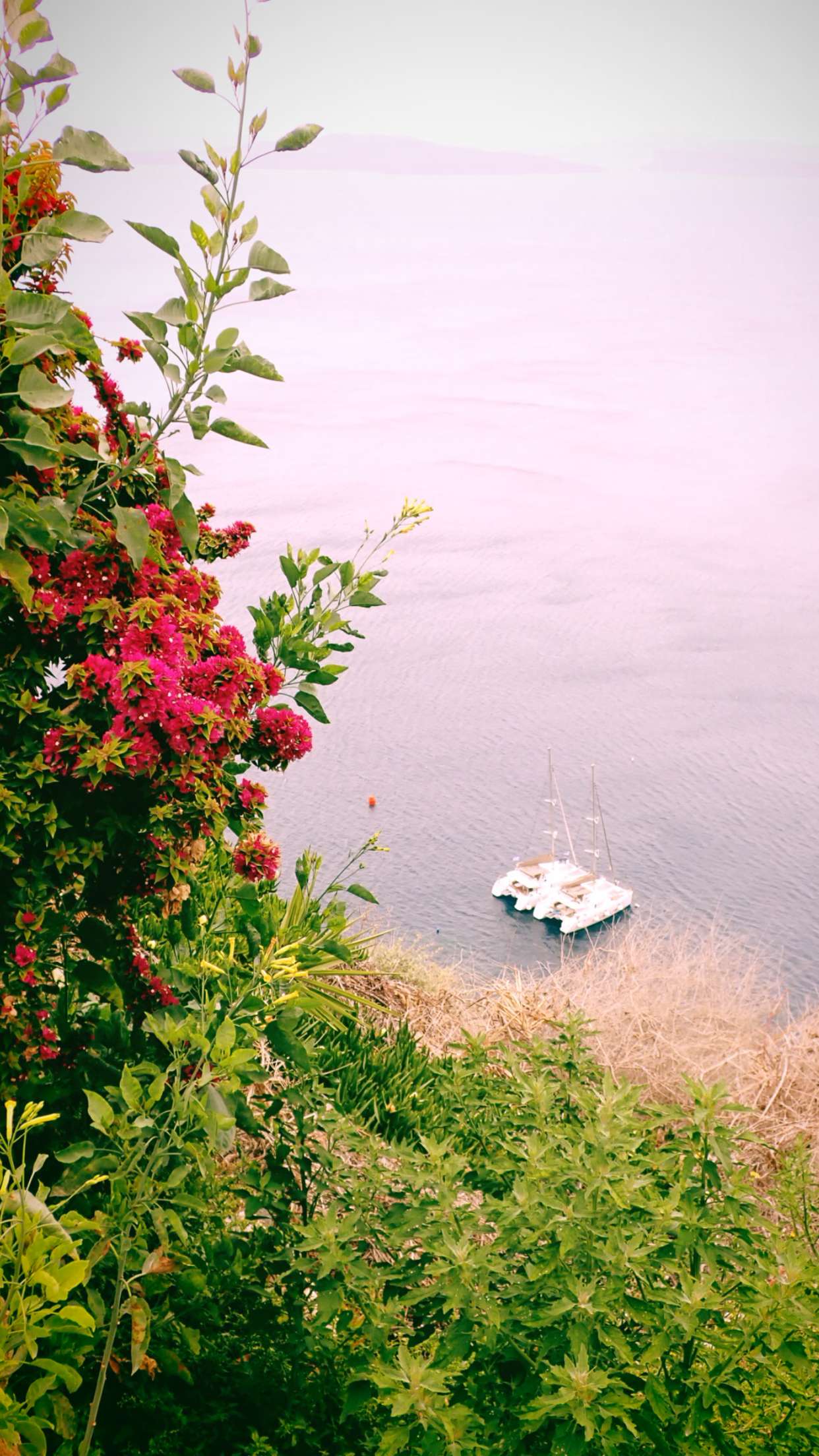 itsnellxoxo snapchat image archive image